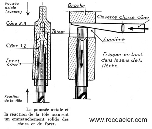 Cone et Chasse cone