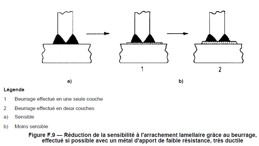 sensibilite-7